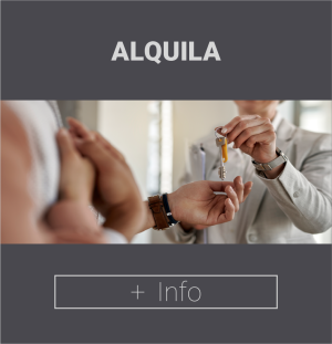 foto alquila cateix